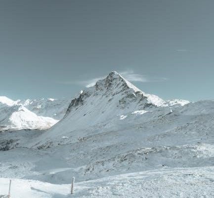 100 days of solitude pdf