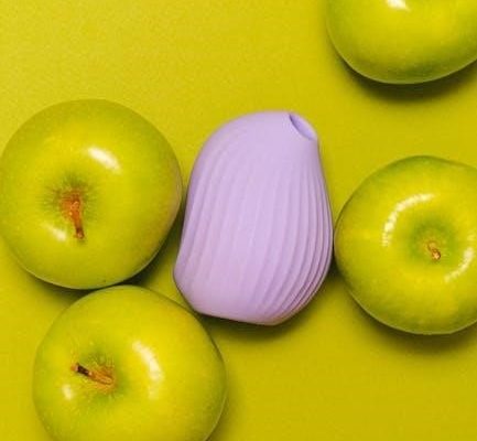 the enlightened sex manual