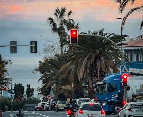 manual de conduccion de la florida